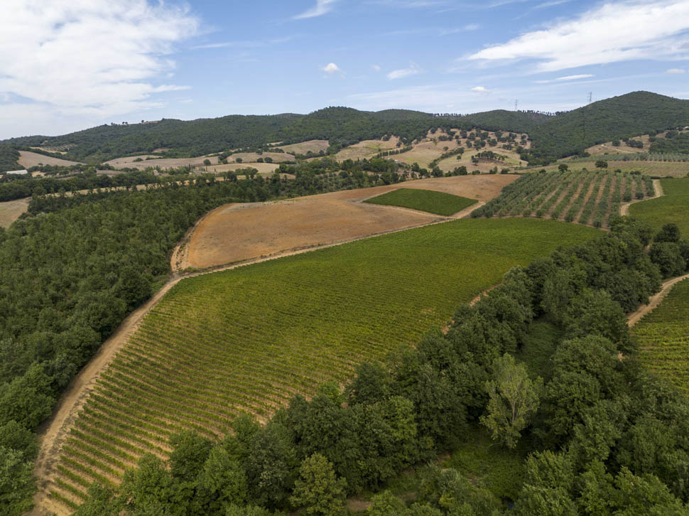DOC MAREMMA TOSCANA VIGNE E ULIVI CAMPIGLIOLA MT