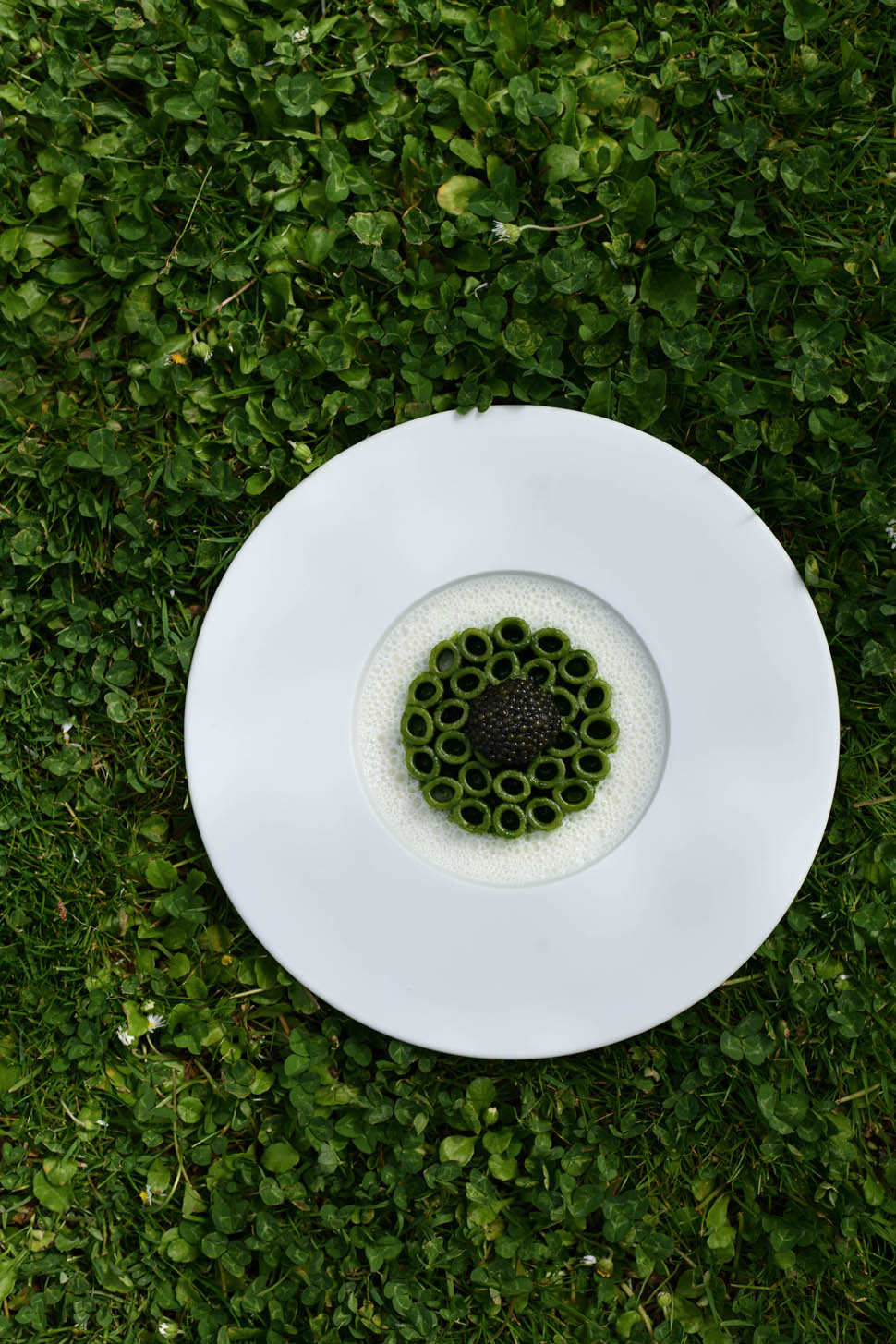 Ditali pasta with nettle delicate feta cheese and Caviar Ditali allortica feta delicata e Caviale Ph Benedetta Bassanelli 5