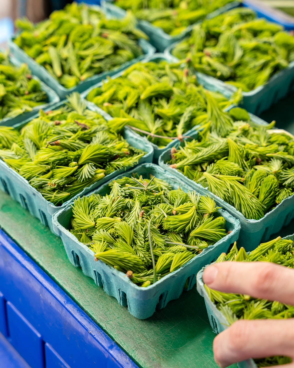 ELEVEN MADISON PARK 3