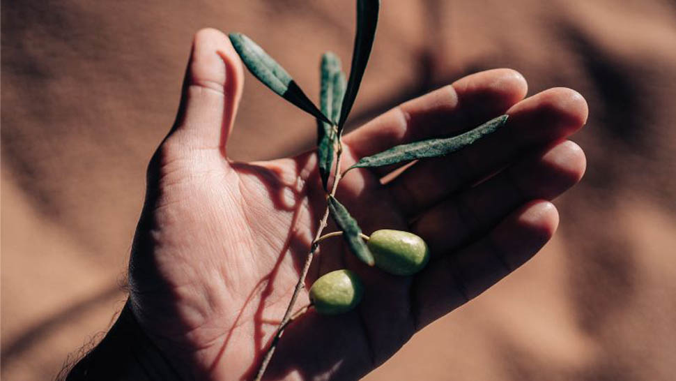 EVENTO CAMERA GUIDA OLIO 10