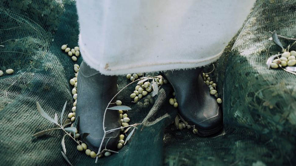 EVENTO CAMERA GUIDA OLIO 11