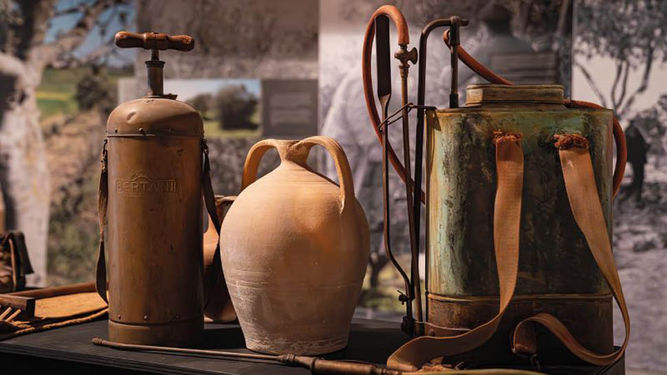 EVENTO CAMERA GUIDA OLIO 13