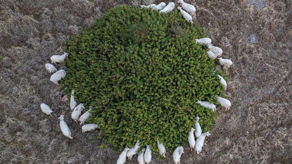 EVENTO CAMERA GUIDA OLIO 2