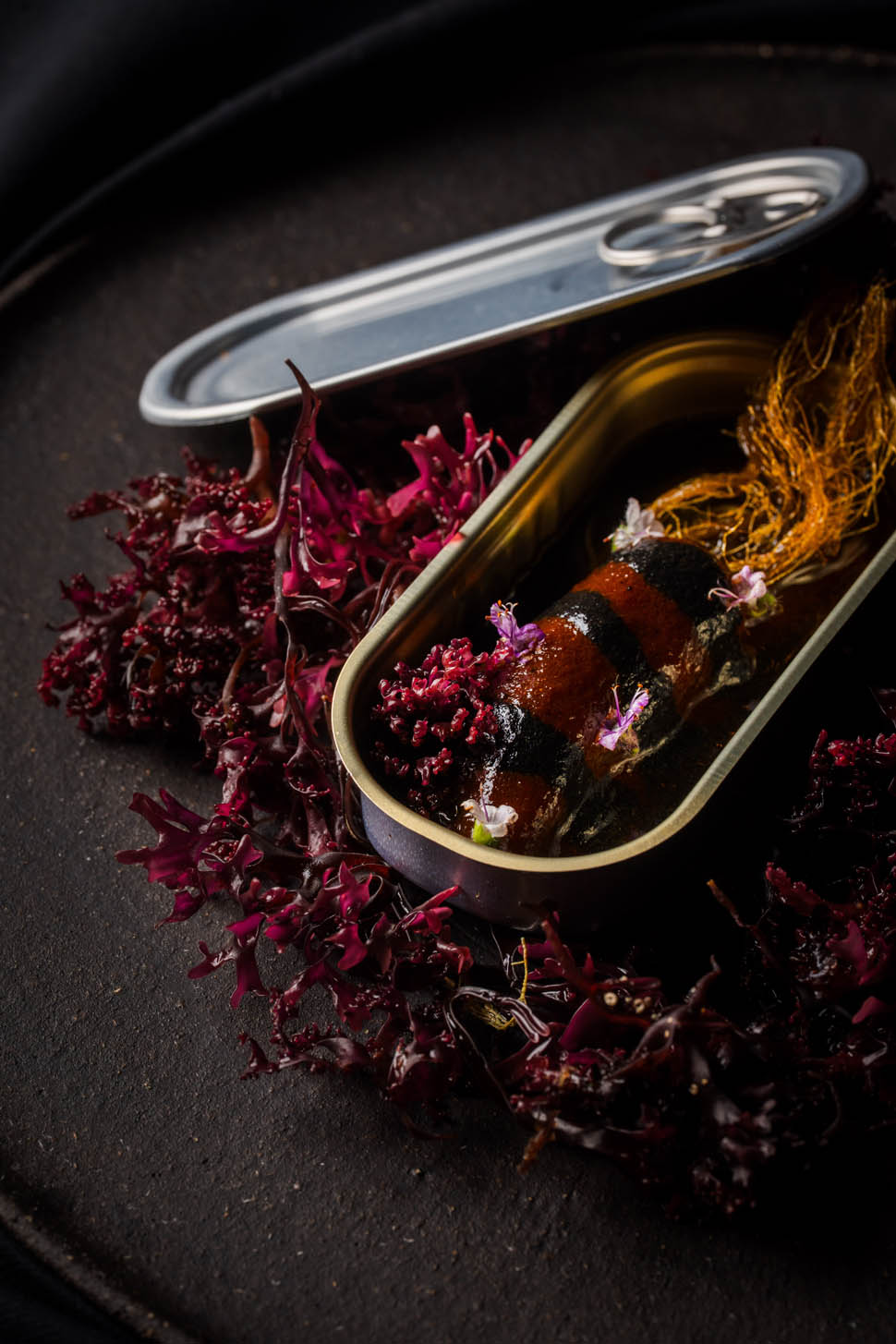 Echoes of memory Squid 2