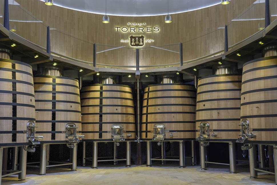 FAMILIA TORRES Sala vinificacion Mas La Plana 2019 2 300ppp