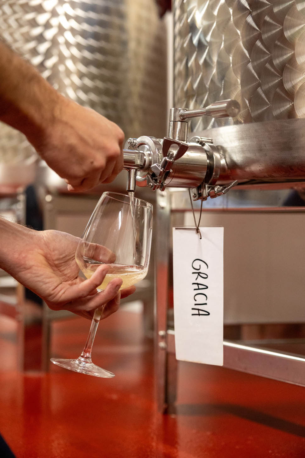 FedericoBontempi Legend Kombucha brewery7