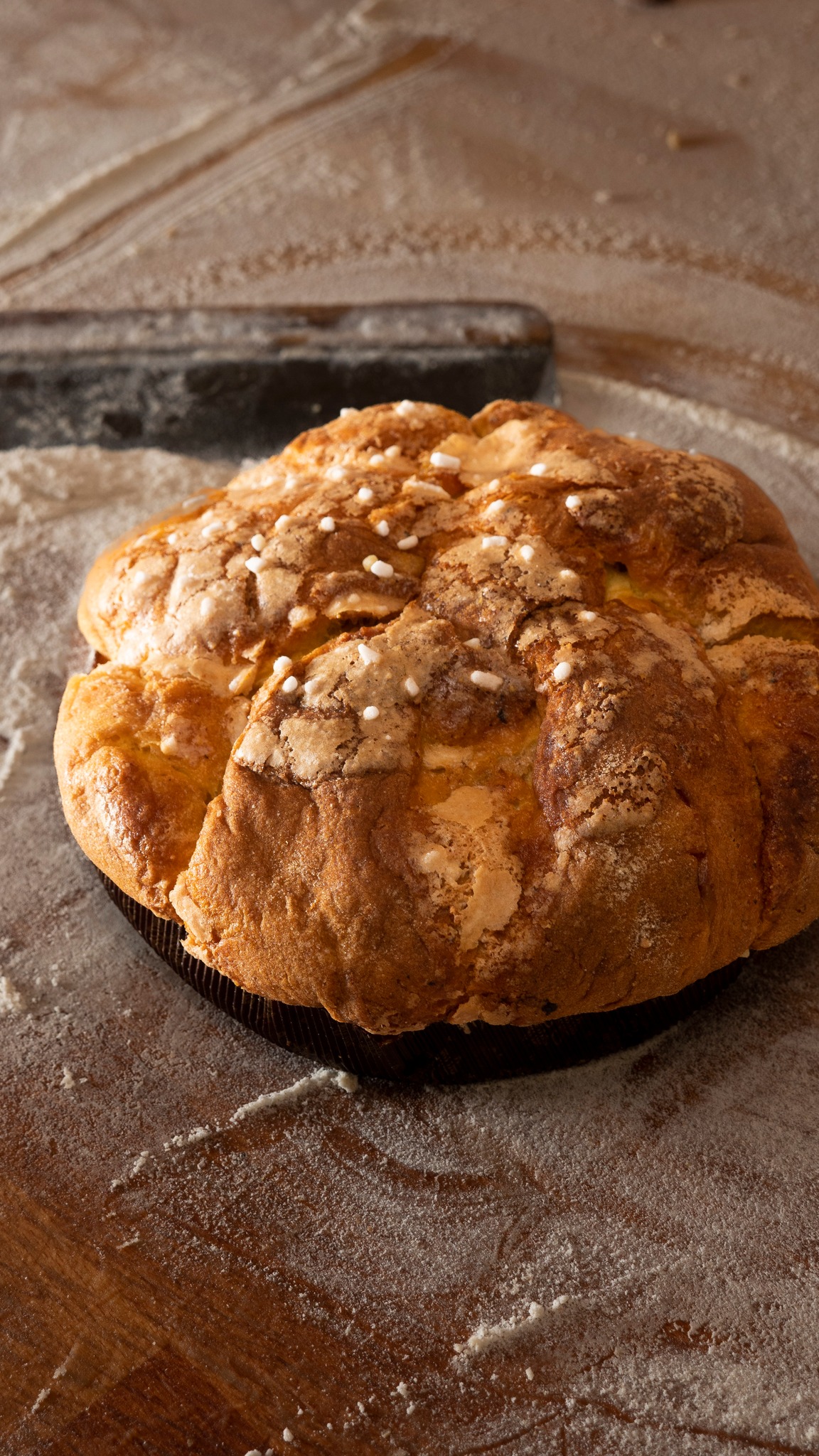 Forno Perino 2025 11 09 12 17 57