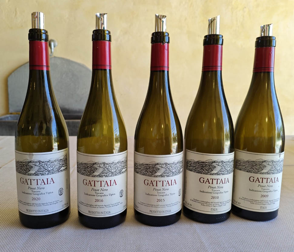 Gattaia Pinot Nero verticale 12062026