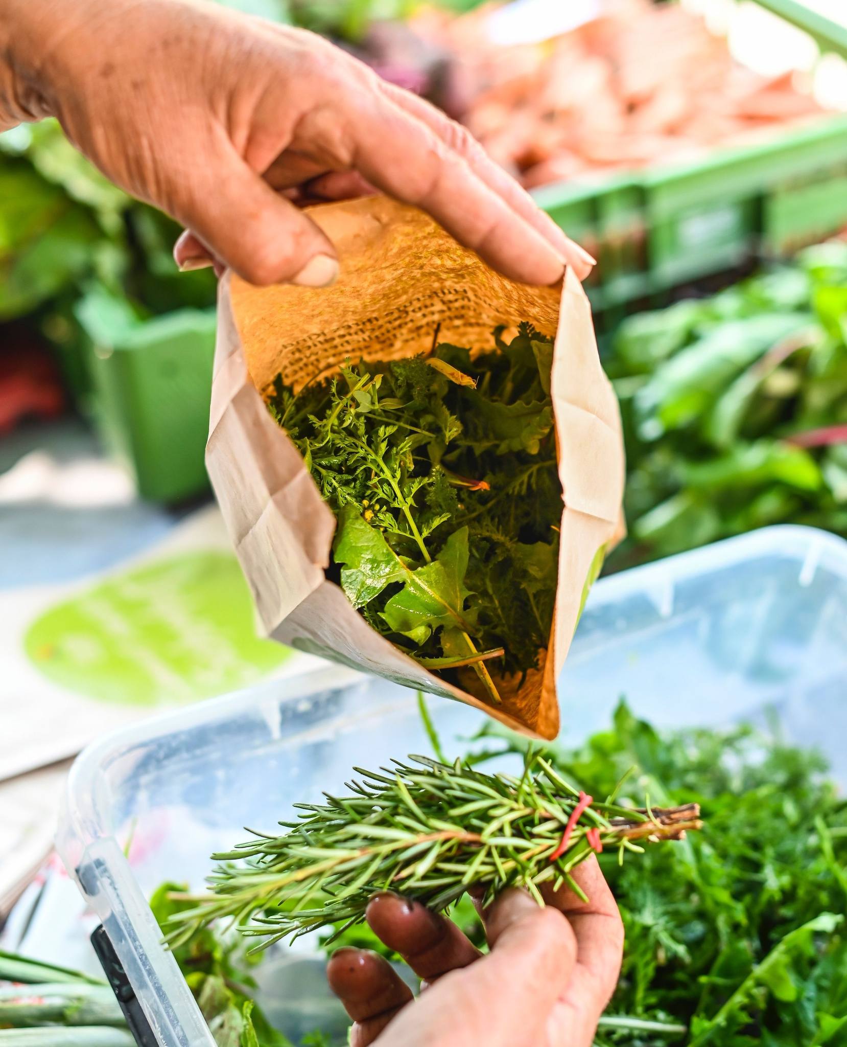 Genieberei am Markt3