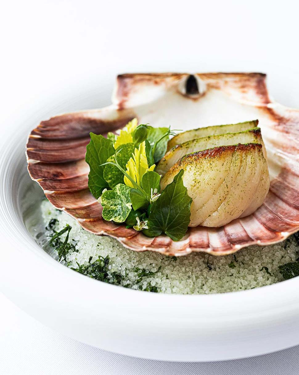 Grilled Isle of Skye scallop peas spring shoots peanut Gordon Ramsay PS