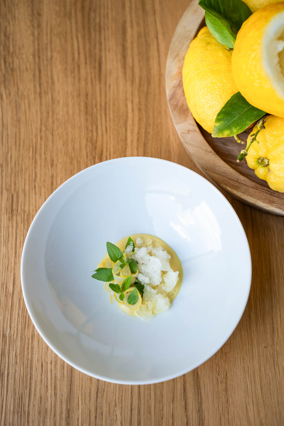 I LIMONI by Stefania Gambella copia