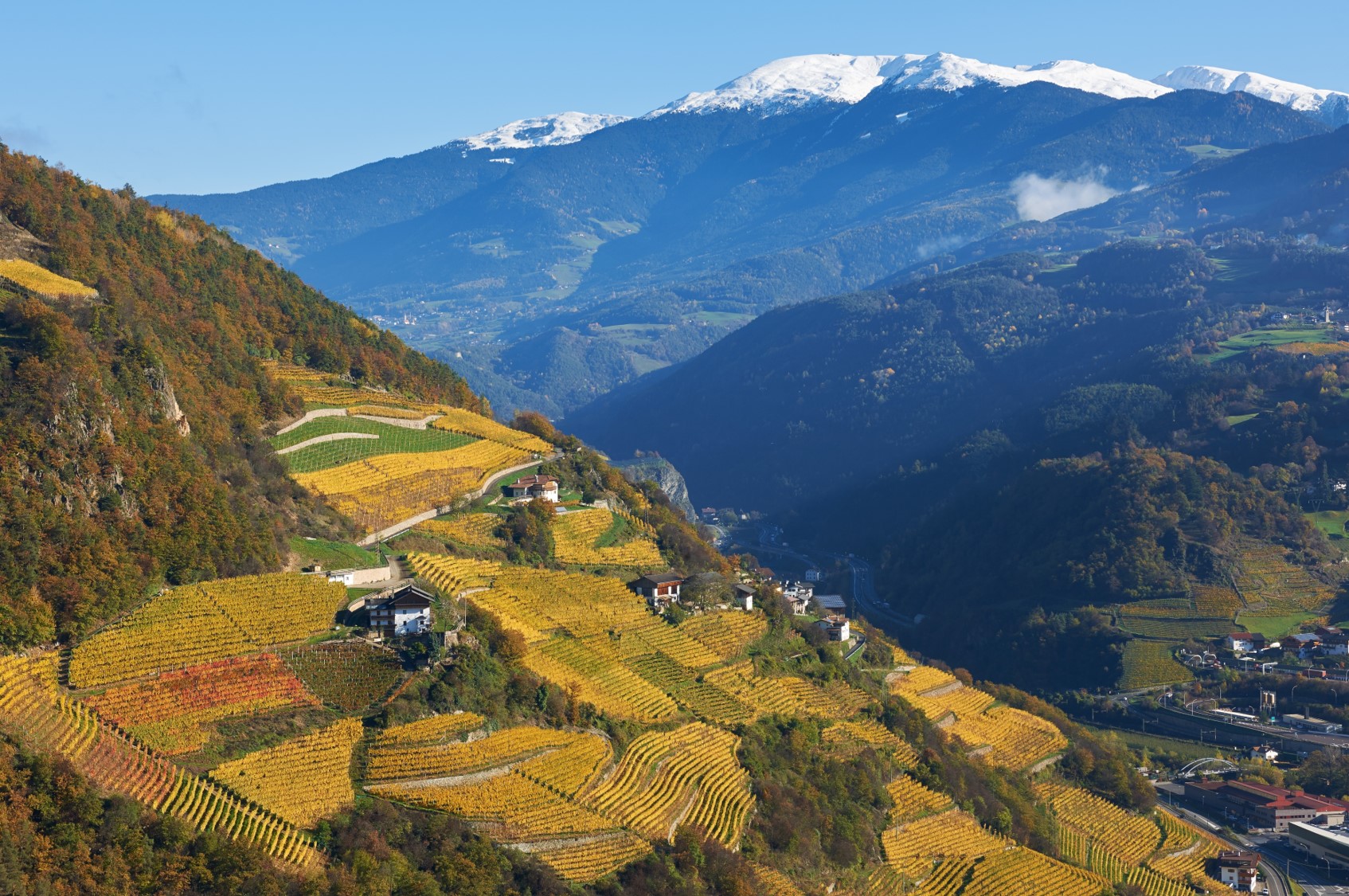 I vigneti della Valle Isarco 5