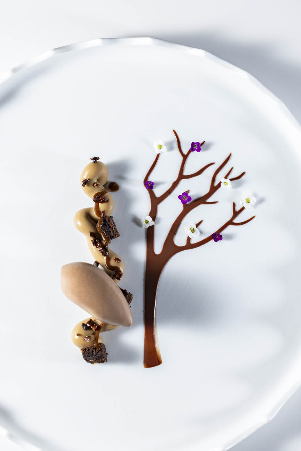 IL MILIONE Oda al Cacao 05090 2026 07 31 11 41 10