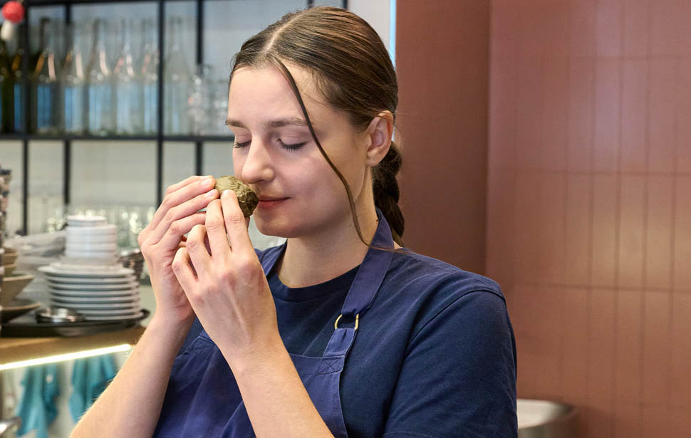 IMMAGINE ARTICOLO Spore