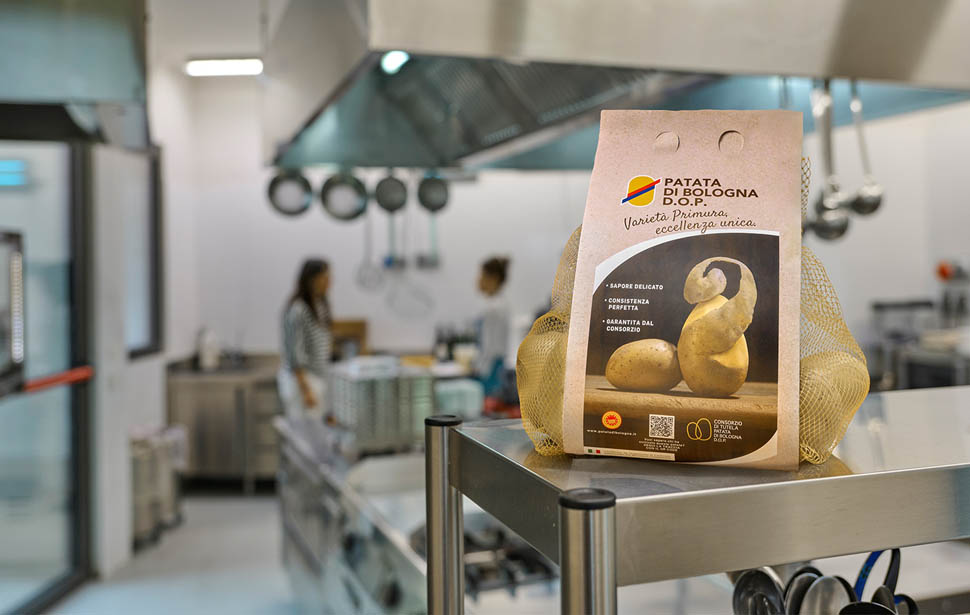 IMMAGINE ARTICOLO prodotto