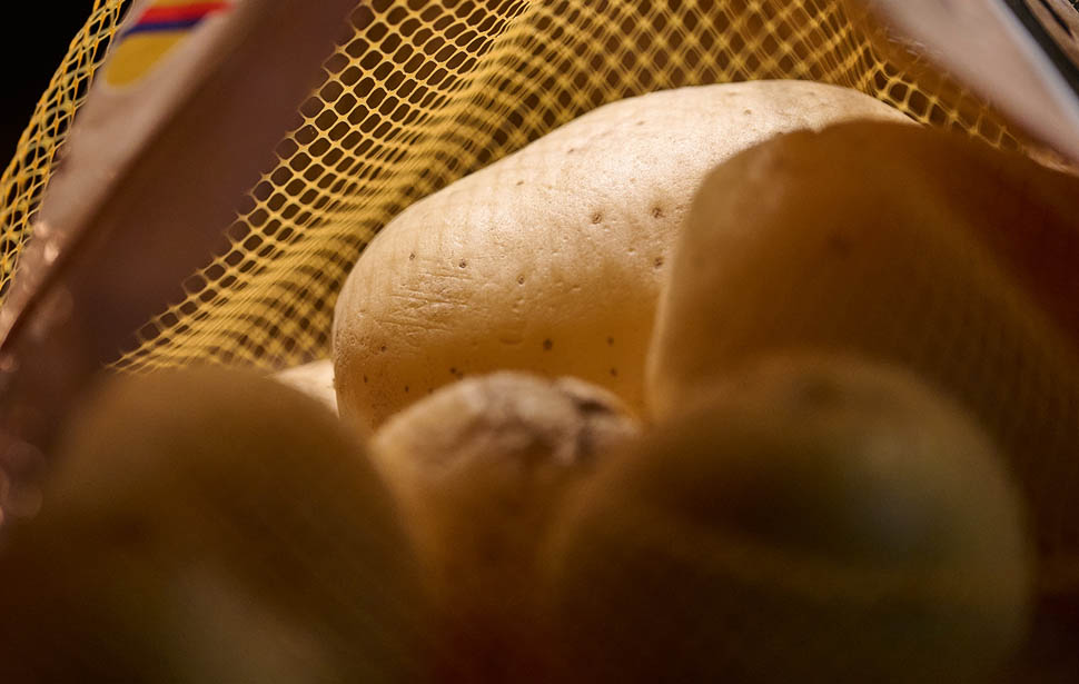 IMMAGINE ARTICOLO prodotto2