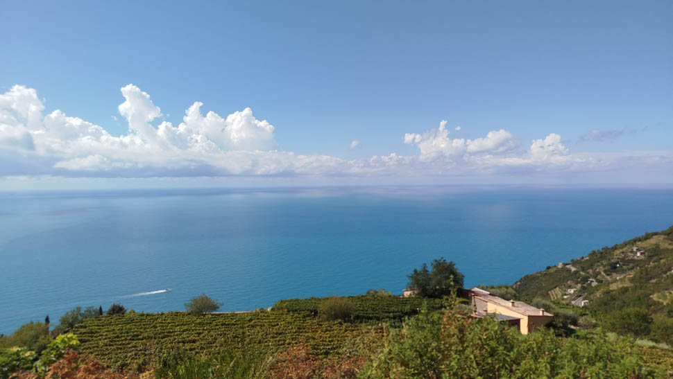 Il panorama dal vigneto