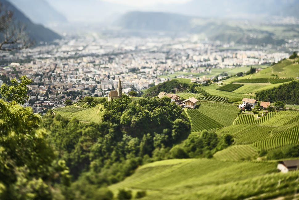 KBZ terroir messnerhof 0005 1