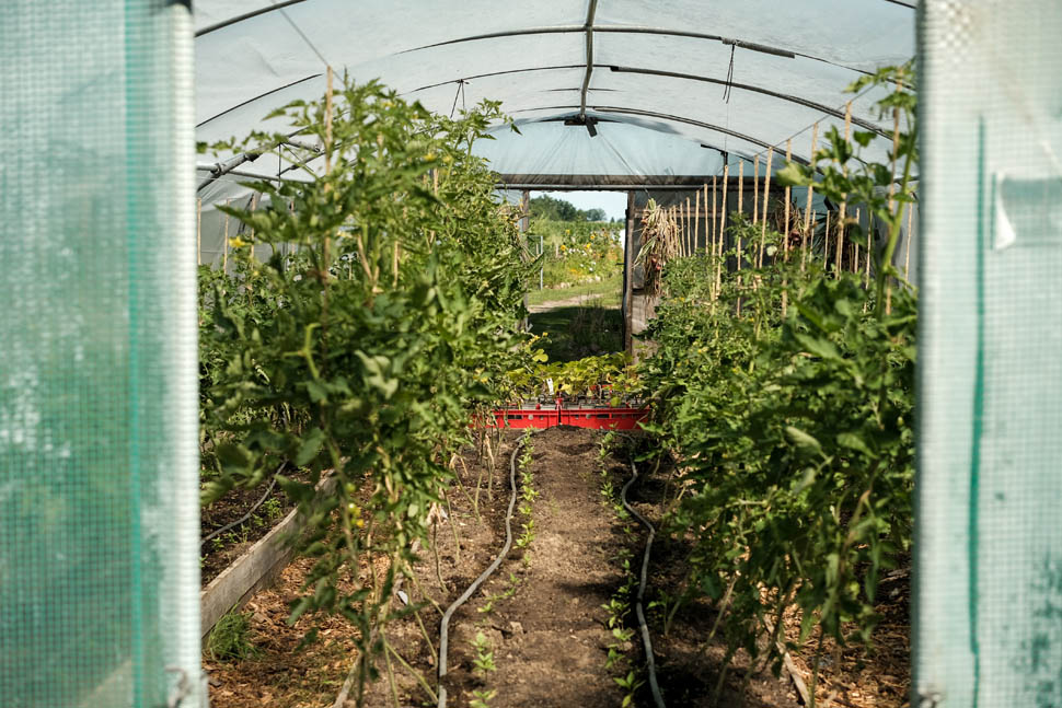 Kadeau Garden Soren Reed Highres 2024 3