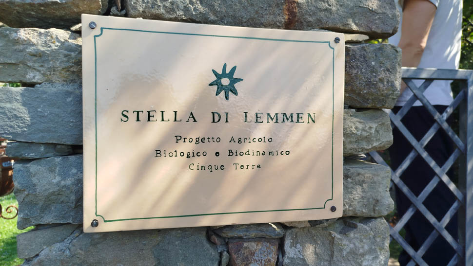 L ingresso del vigneto