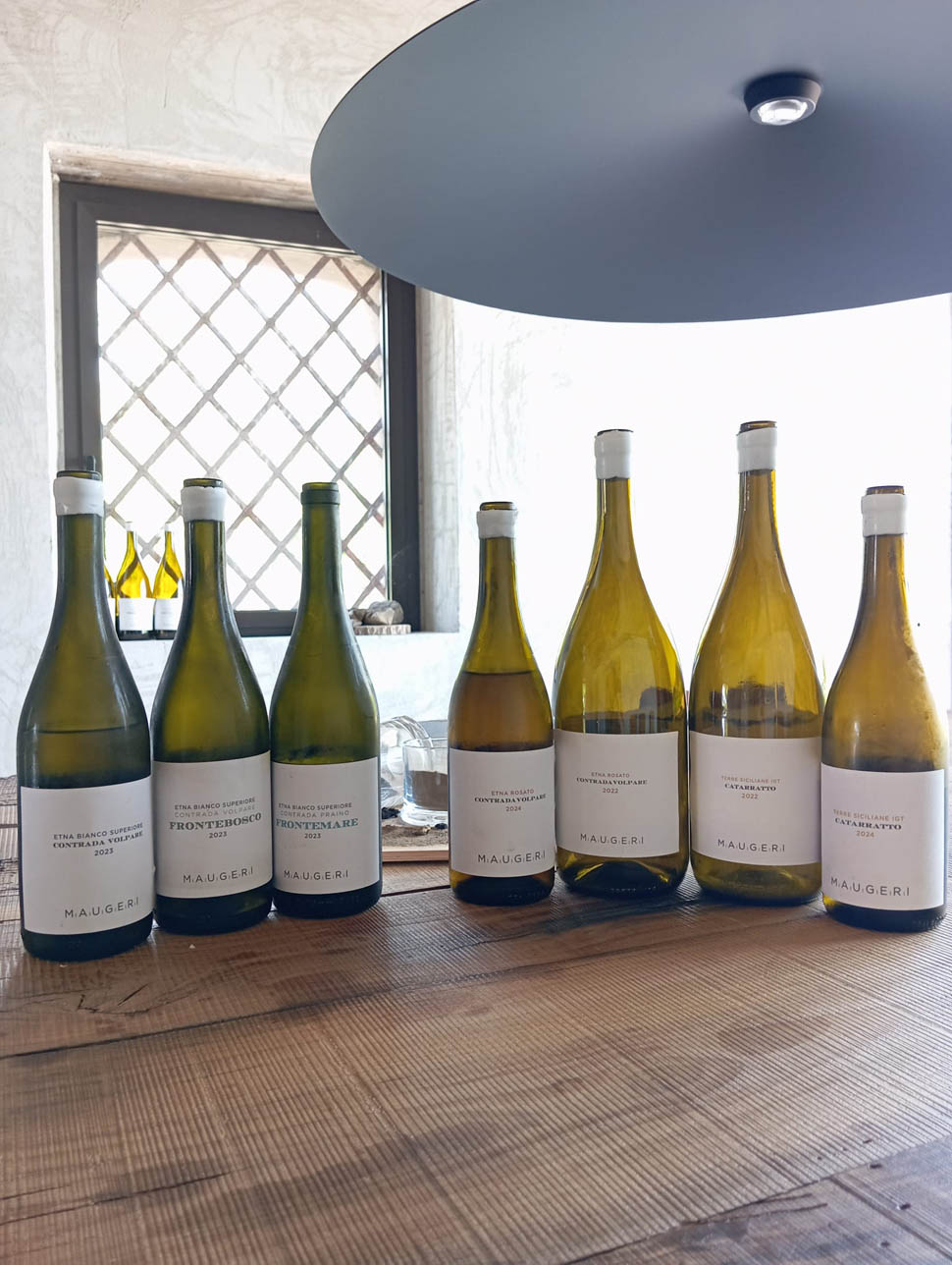 LINE UP Bottiglie Maugeri