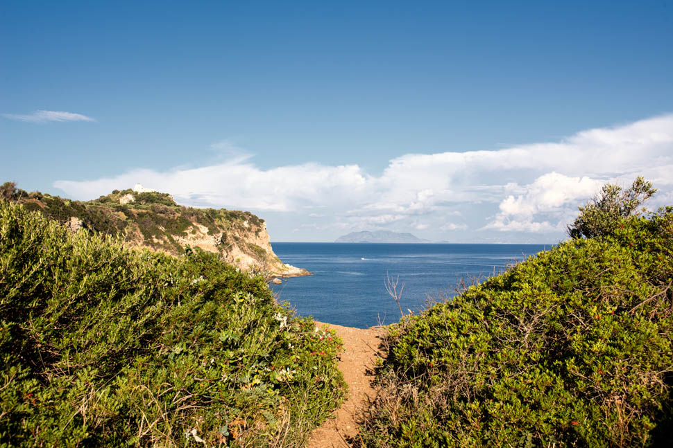 La Baronia 2