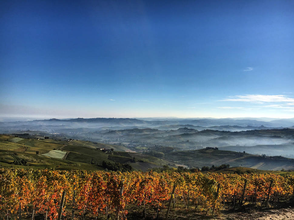 Landscape from Bricco delle Viole