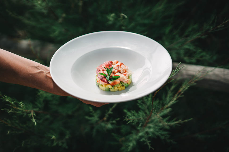 Luca Morroto Insalatina di astice frutta e verdurine maionese al lime e basilicoPh Mario Suarato