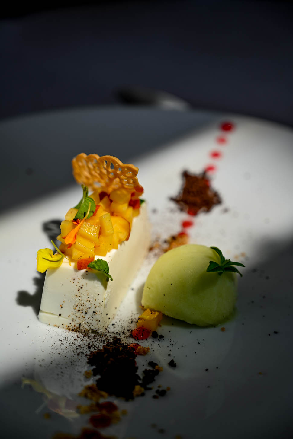 Mousse yogurt pesca con sorbetto al lime sedano e cetriolo DSC 6776