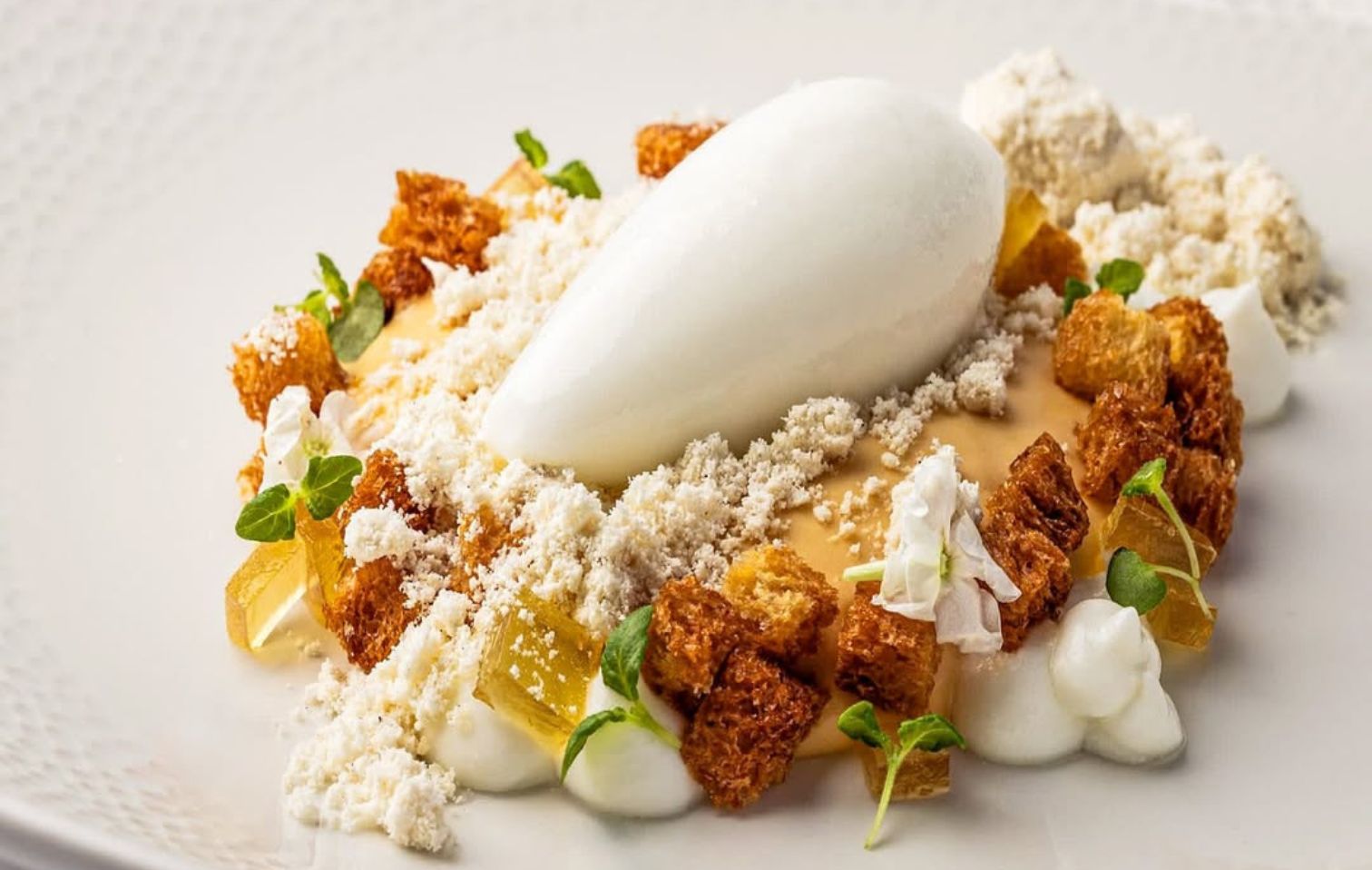 Mugaritz 2025 08 19 11 46 30