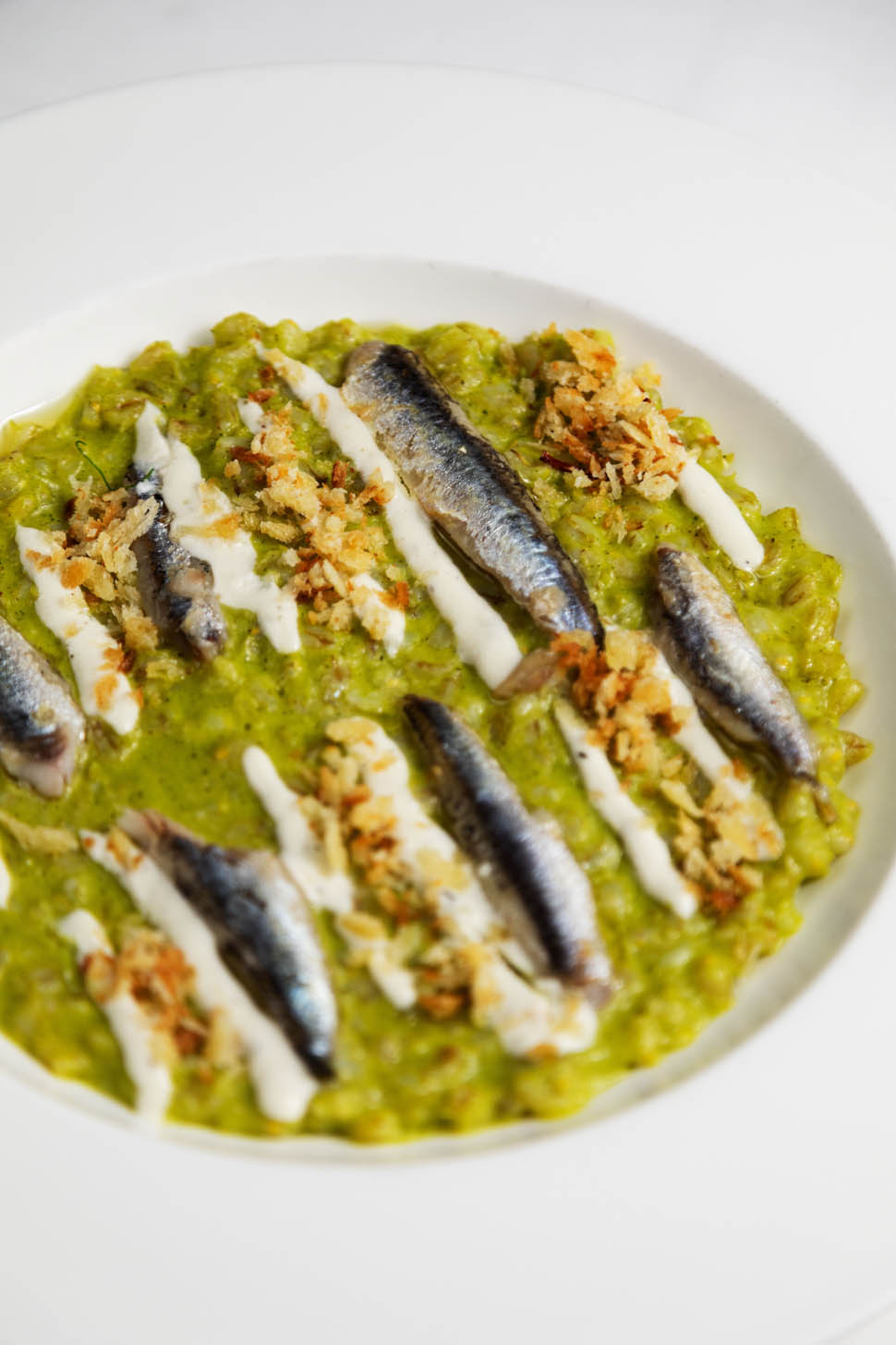 ORZOTTO 096