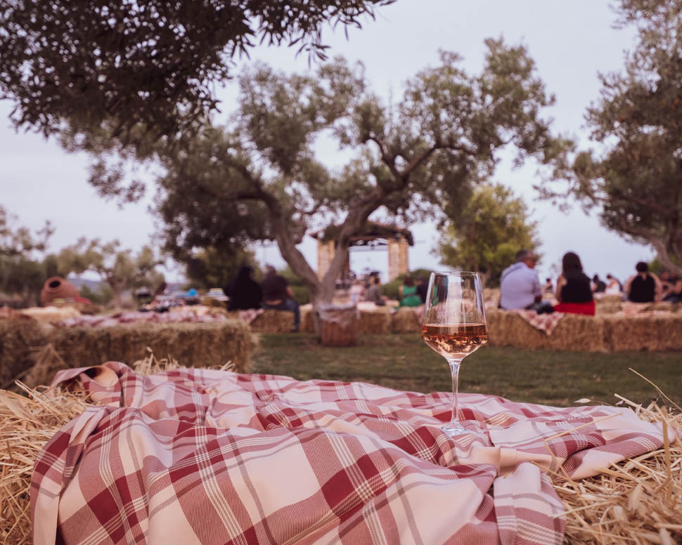 Olianas Degustazioni 1