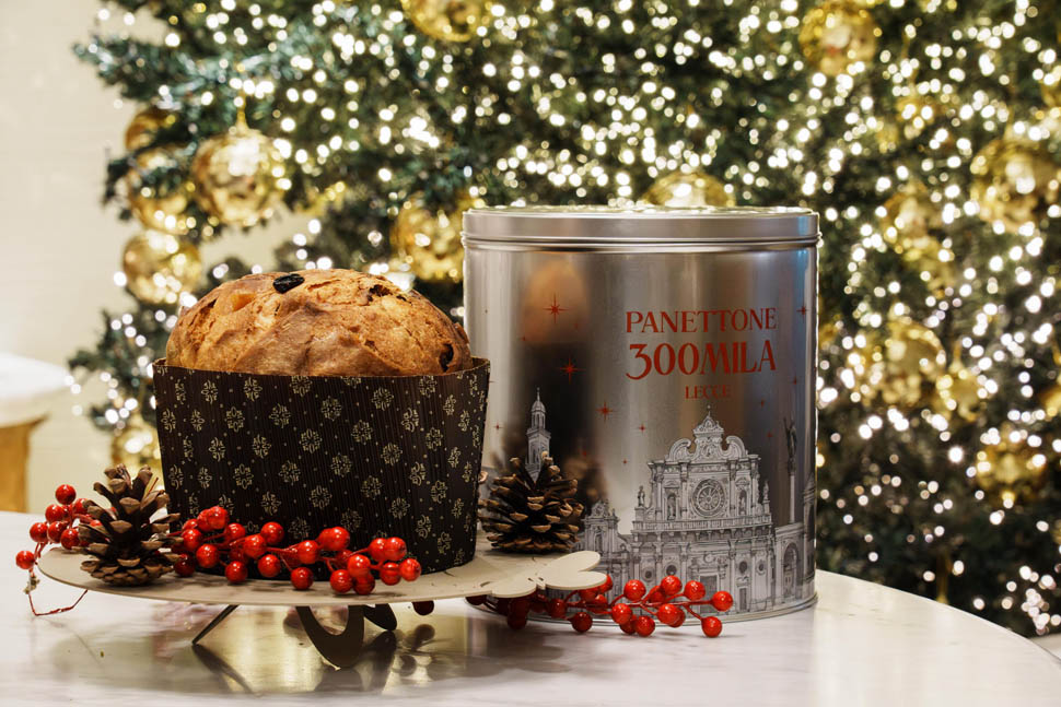 Panettone300mila Lecce classico 10