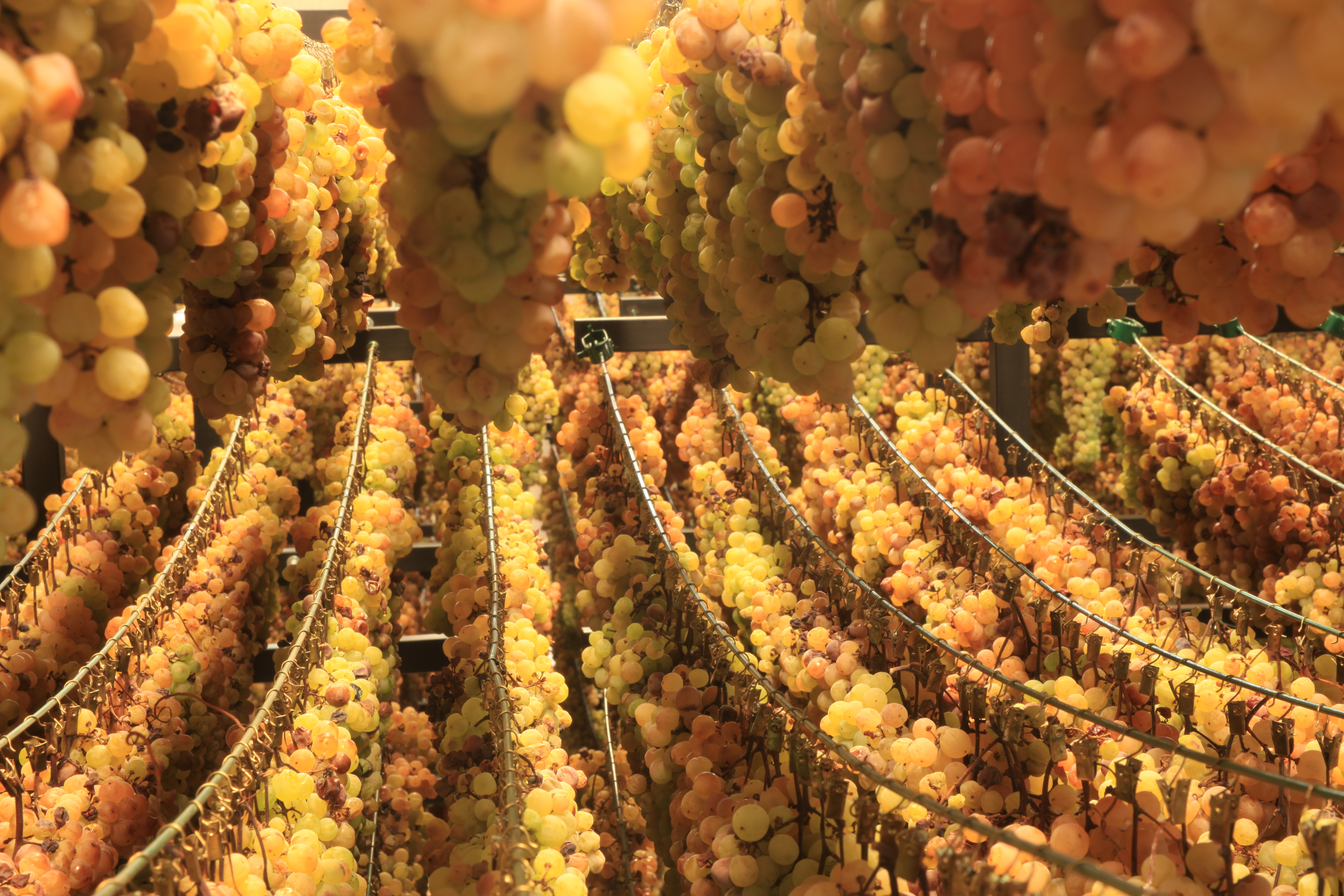 Passitaia Erbaluce DOCG