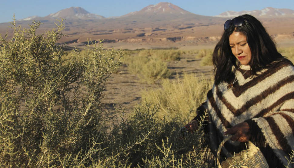 Patricia Lorena Perez 2 El Dinamo