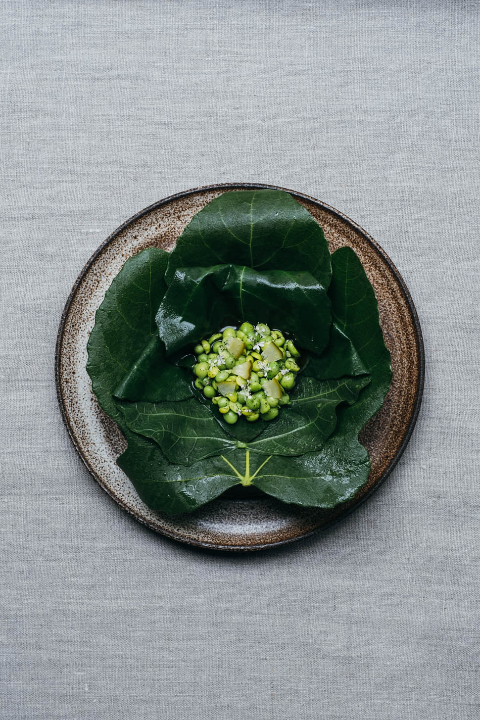 Peas and fig leaf BurntSaltStudio GillesDraps Kadeau Week28 4