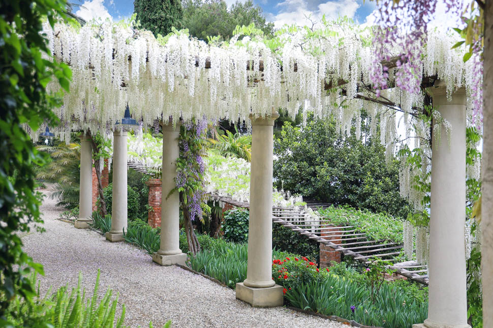 Pergola Longissima Alba ph A Le Mure