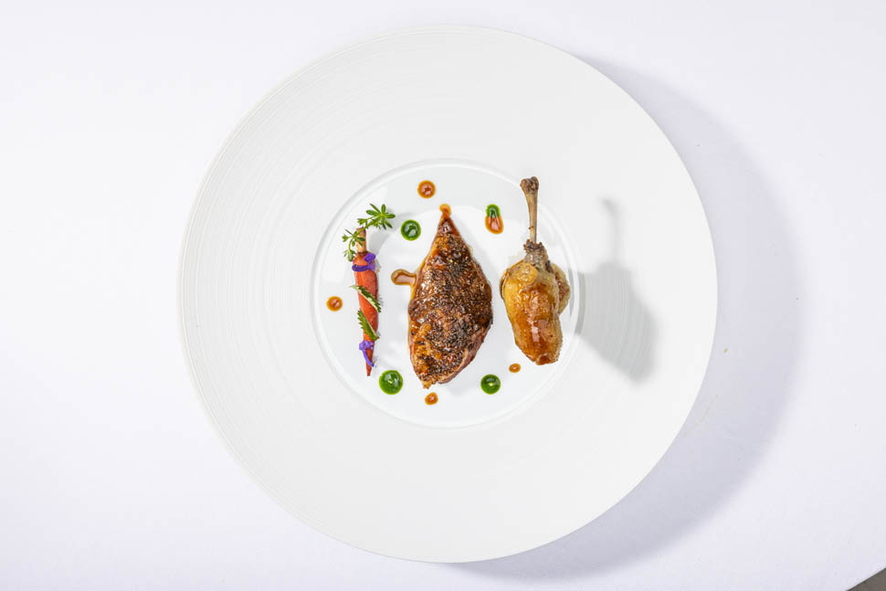 Piccione ph Andrea Gherardi 4