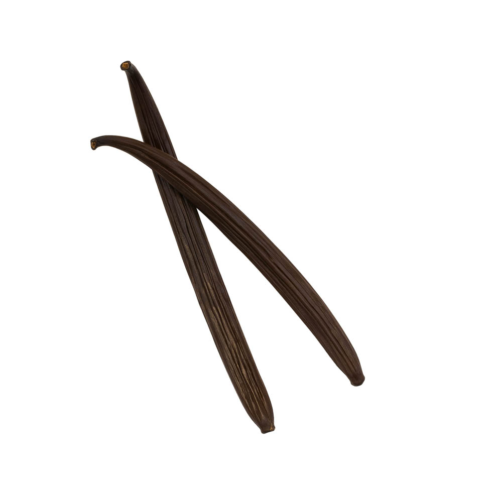 Premium Vanille Peul Black 0274 wit