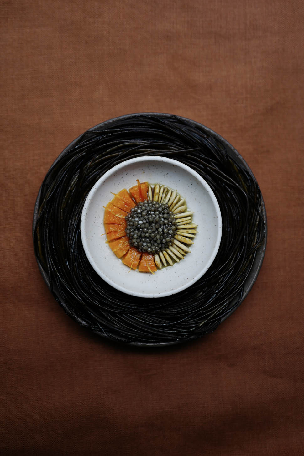 Pumpkin and Caviar Preservation Season 2022