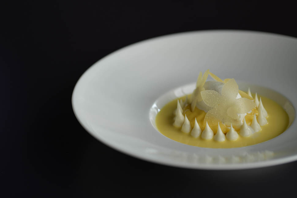 QUID BENEDETTABASSANELLI 4