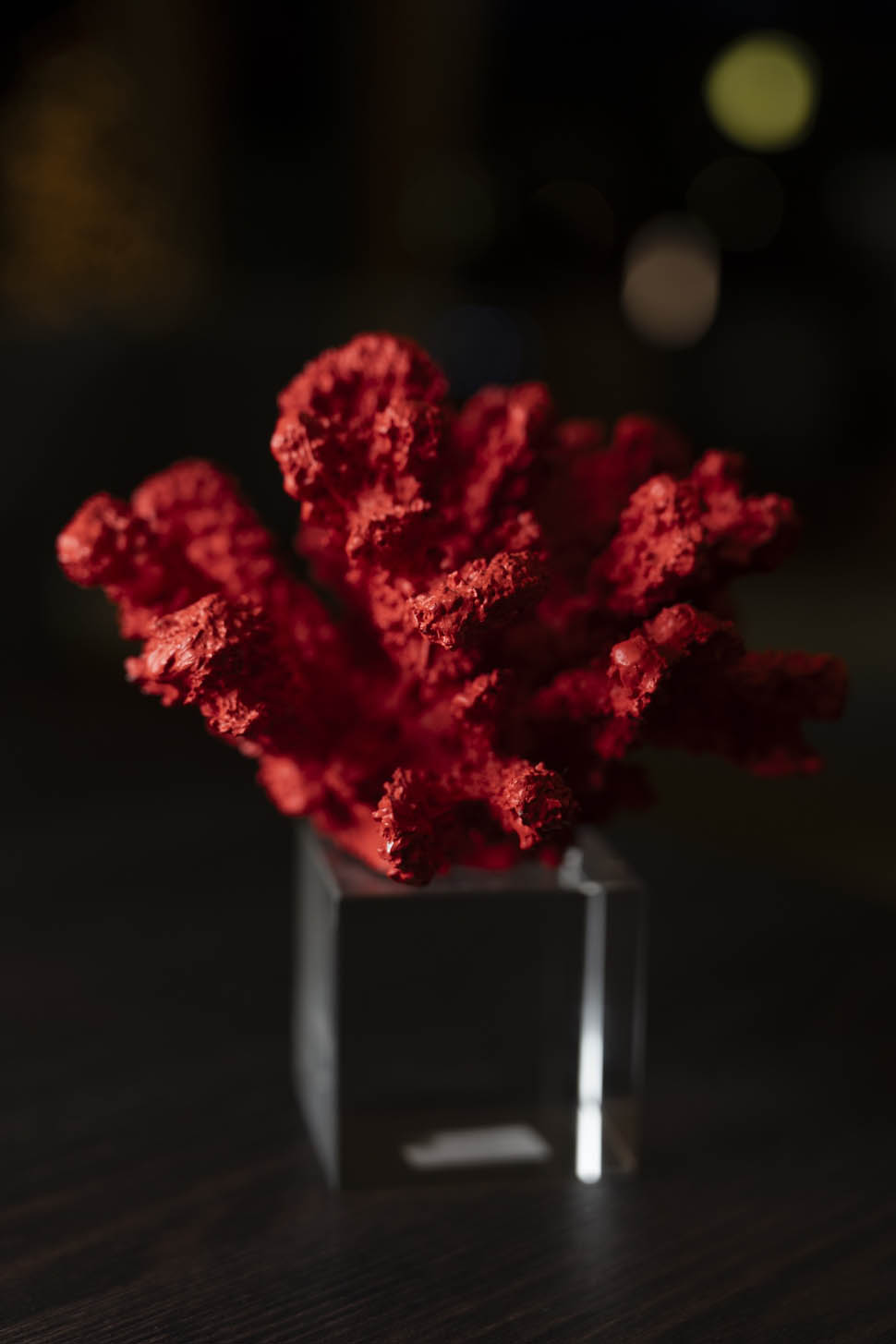 Quattromani sine enigma 17