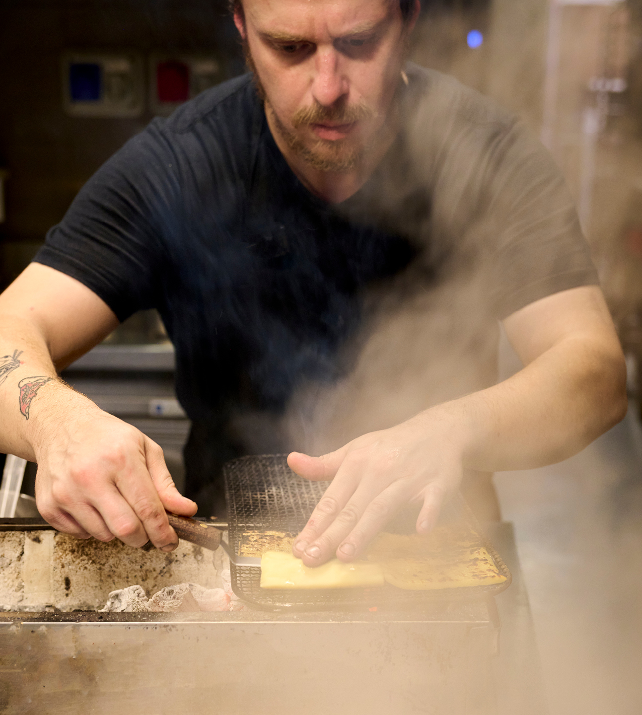 ReportGourmet ALLEGRA 2