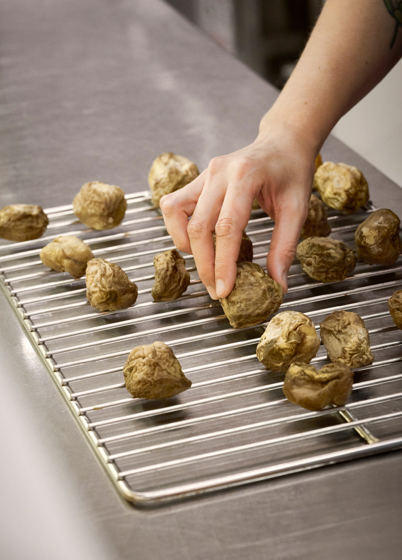 ReportGourmet SPORE 2