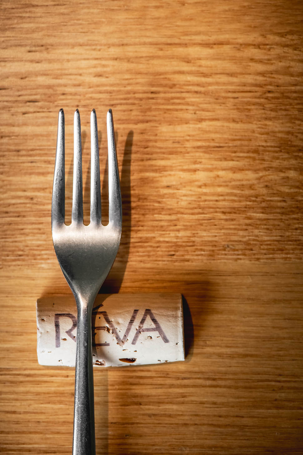 Reva 6