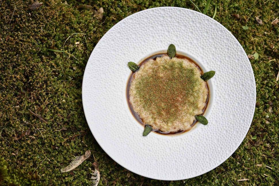 Risotto al fumo delicato e sentori di sottobosco Ph Benedetta Bassanelli