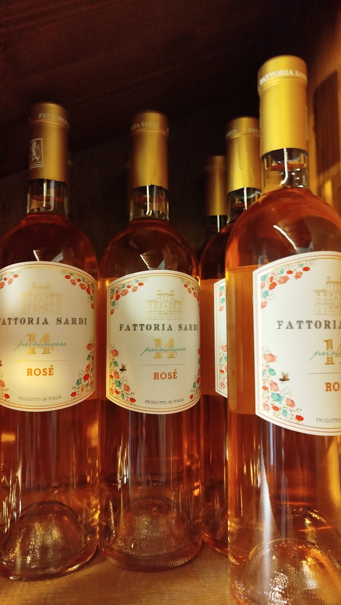 Rose 2026 04 17 17 04 38