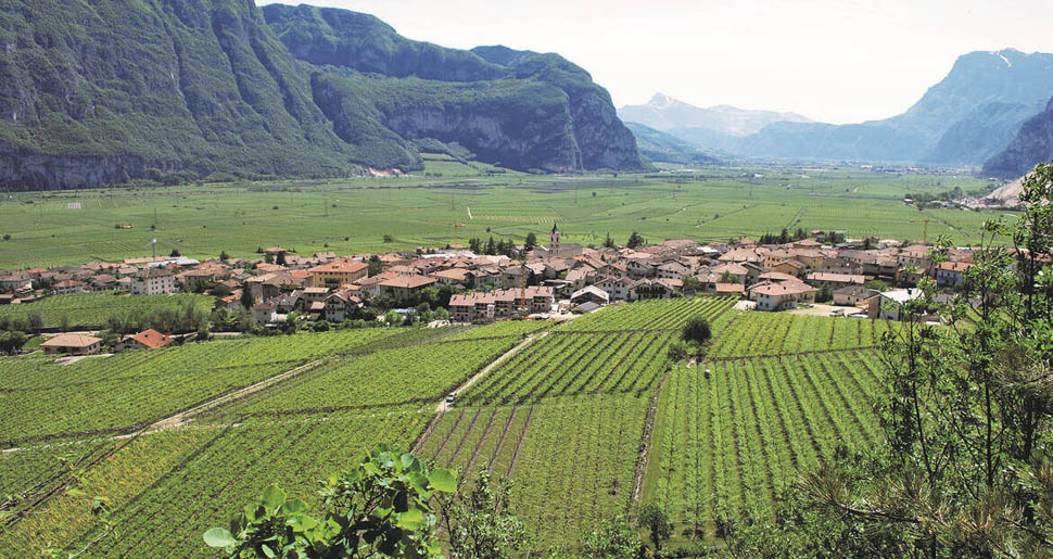 Rovere della Luna imagefullwide