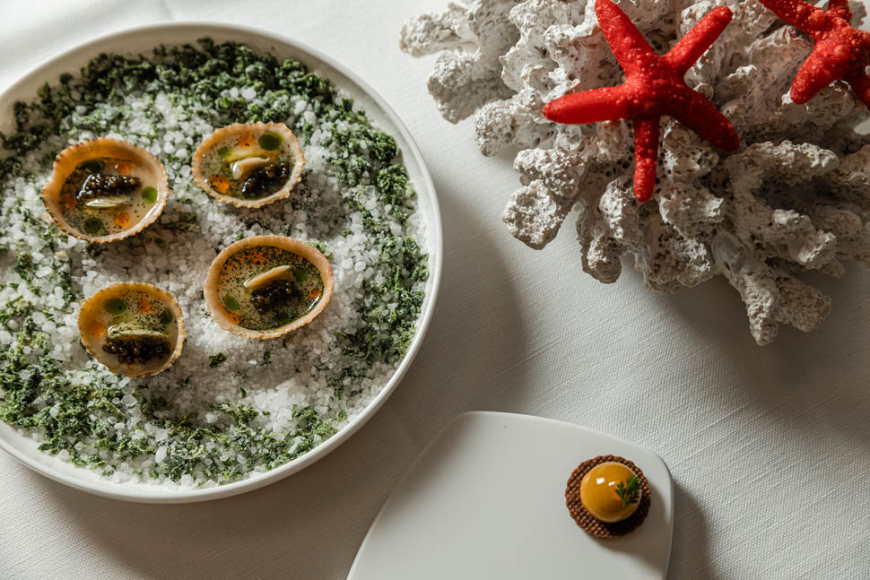 Royale di mare stellina e bon bon PhSlevin