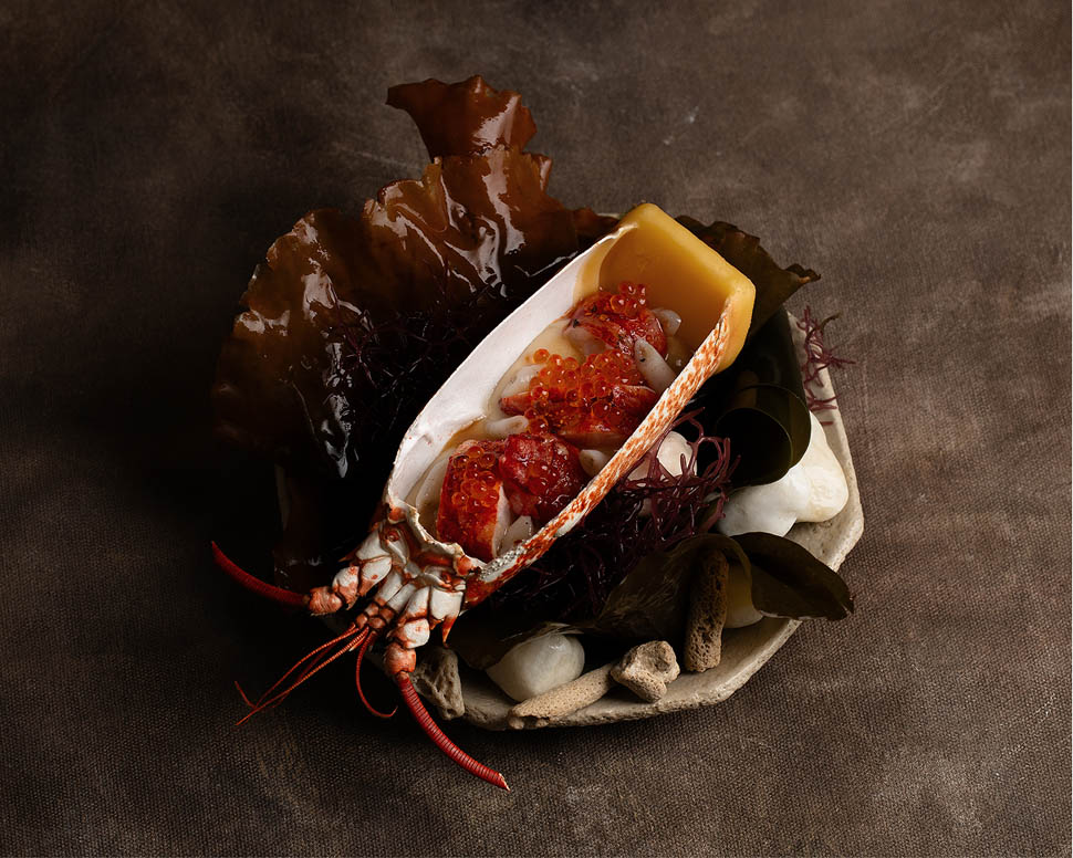 SOMMA BLUE LOBSTER